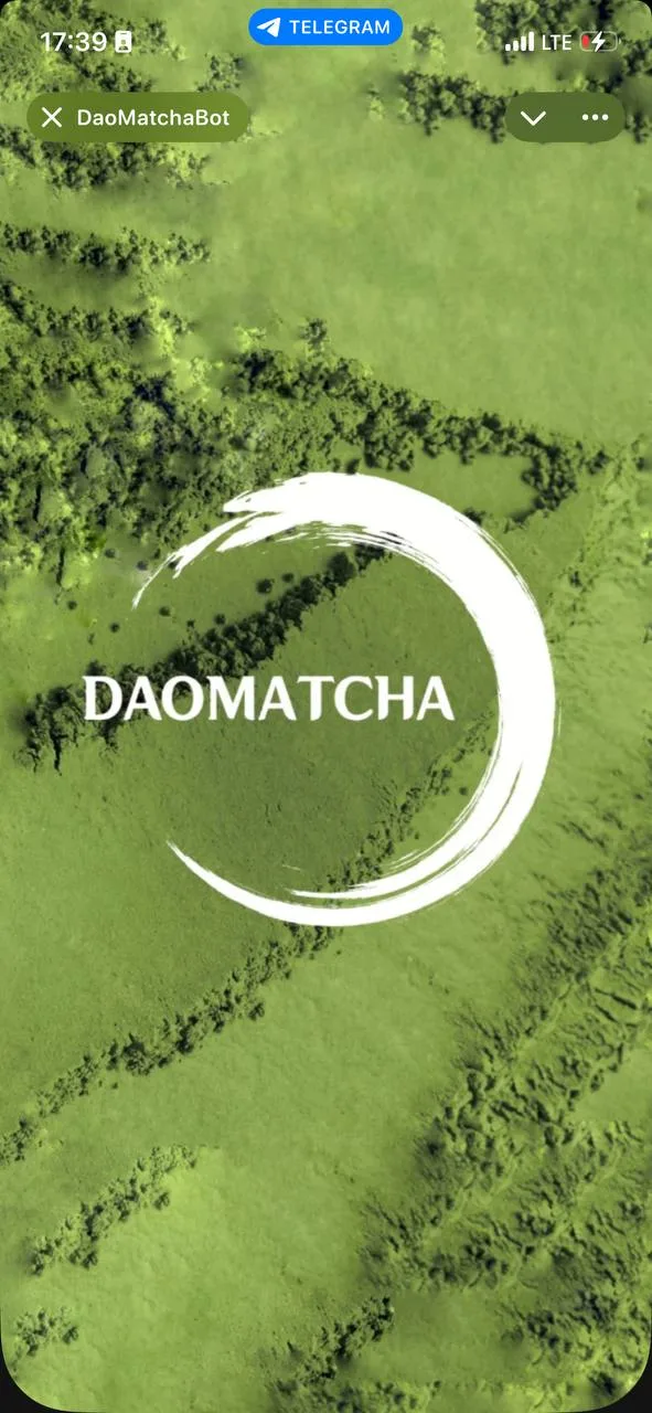 DAO MATCHA — Telegram-магазин матчи
